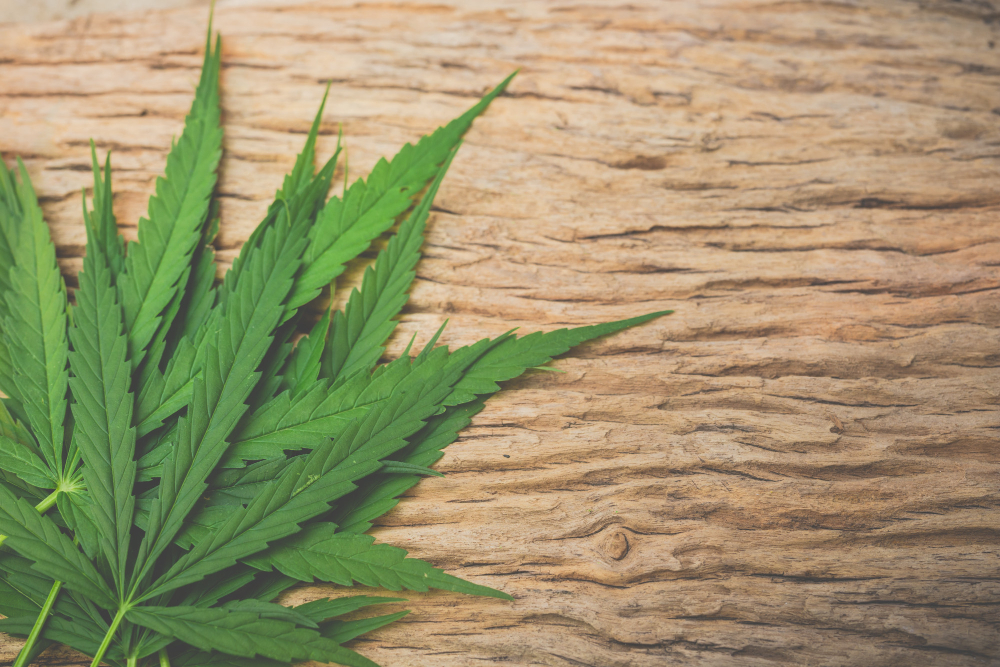 Hemp Retailer Sues Texas!